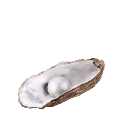 Oyster